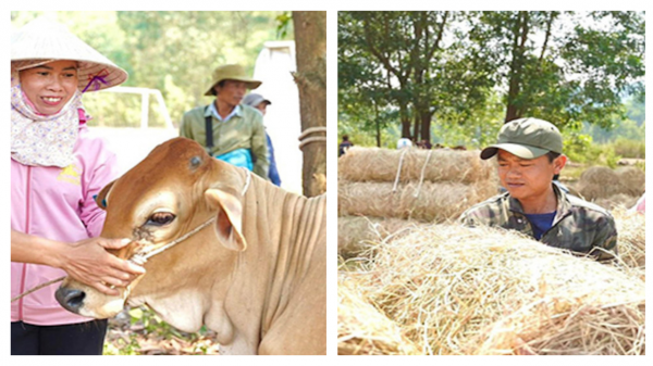 Hơn 120 mô hình sinh kế tạo chuyển biến mạnh mẽ trong công tác giảm nghèo ở Huế